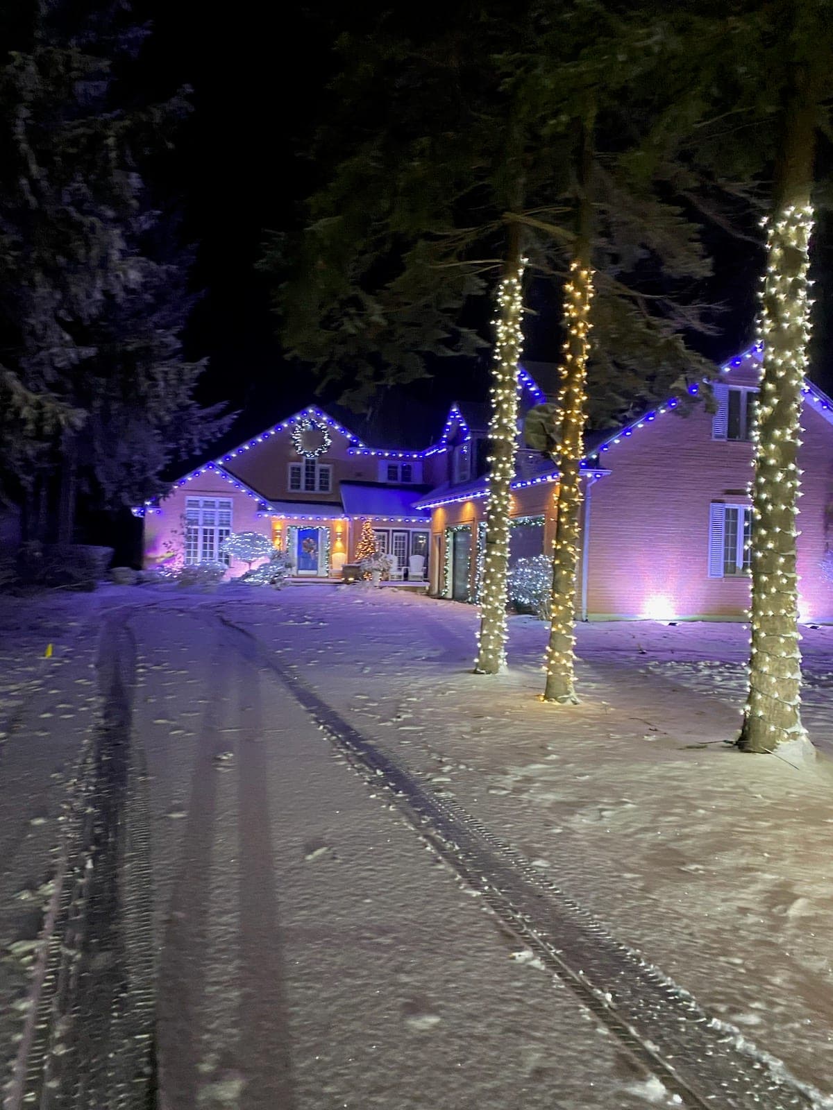 Large home with blue and warm-white roofline Christmas lights and pine trunks wrapped in warm-white lights