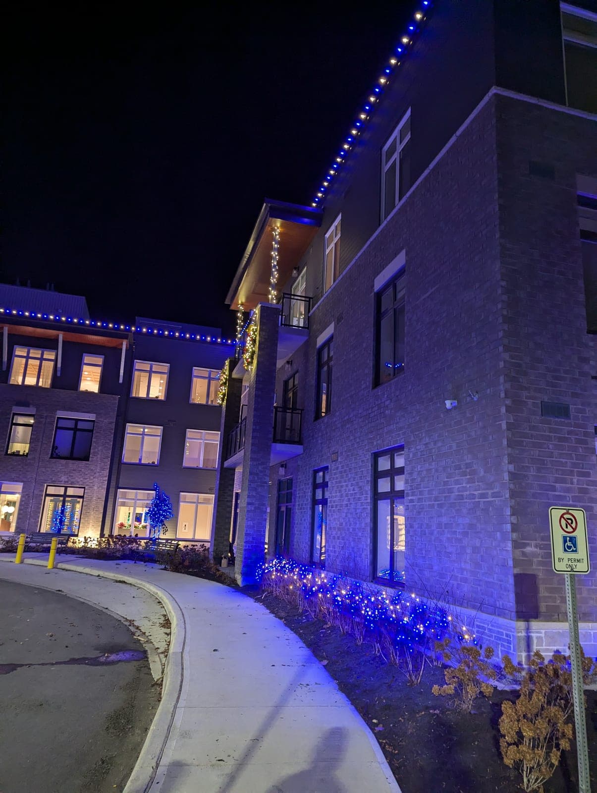 Commercial building lit with blue roofline lights, warm column garland and blue landscape lighting at night