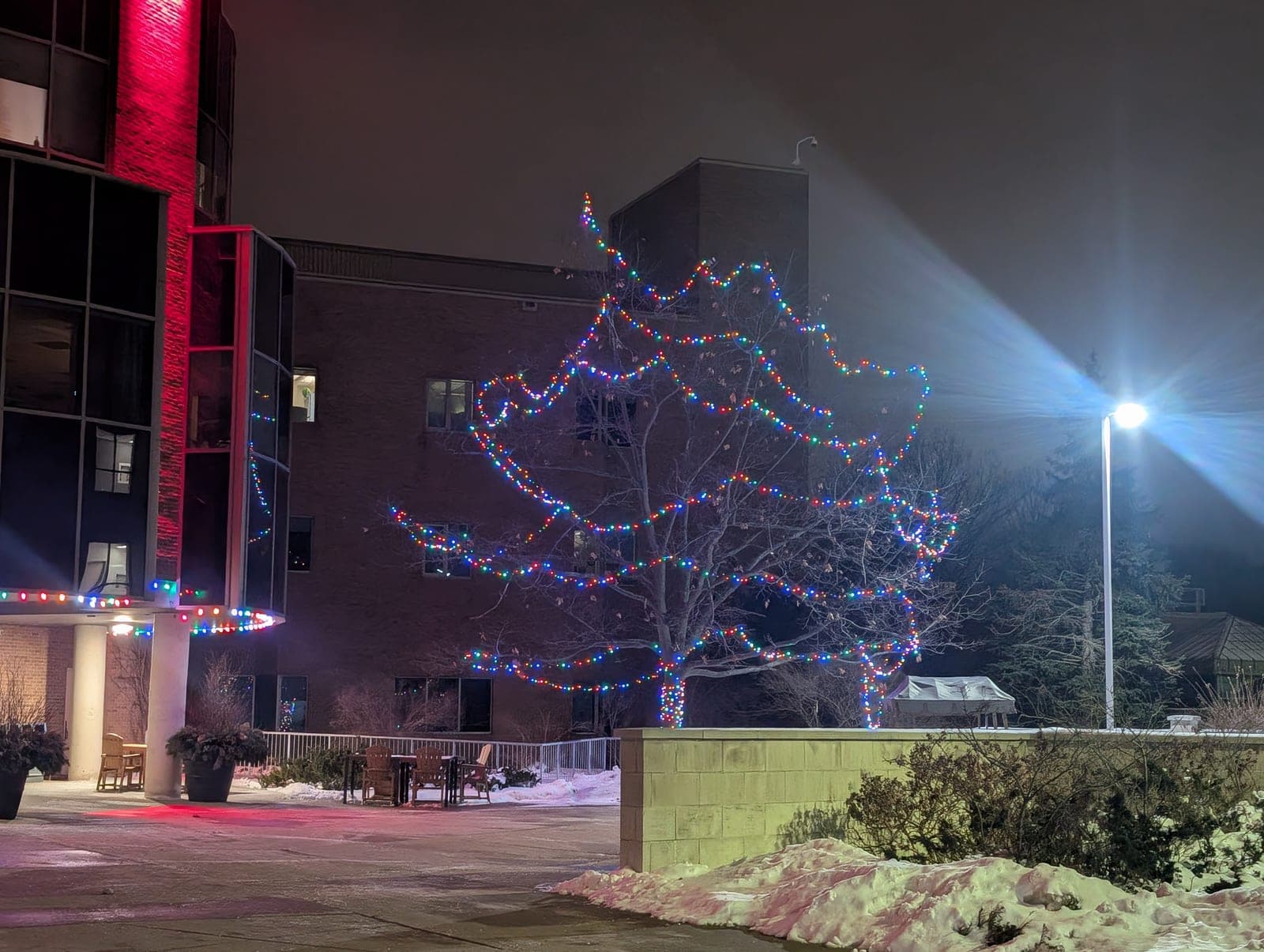 Bare tree wrapped in colourful Christmas lights outside a red-lit commercial building at night