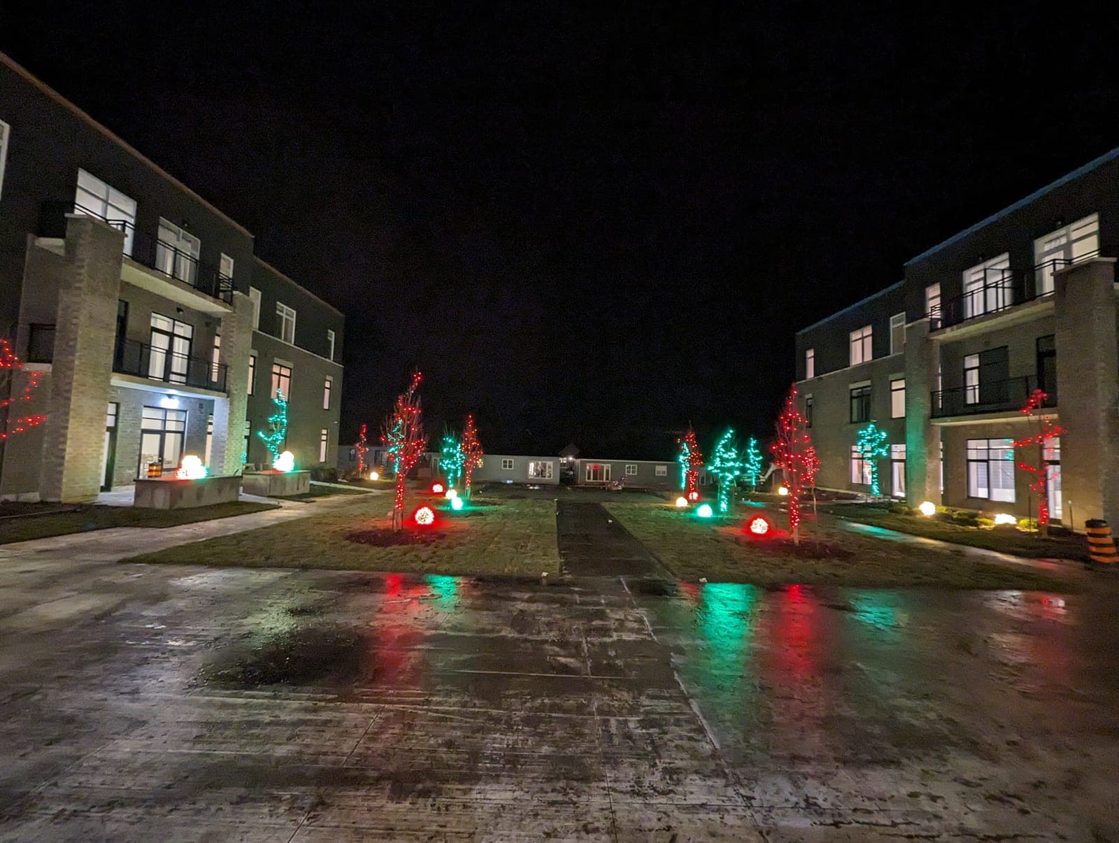 Commercial courtyard drive lined with red and green lit Christmas trees between two building wings