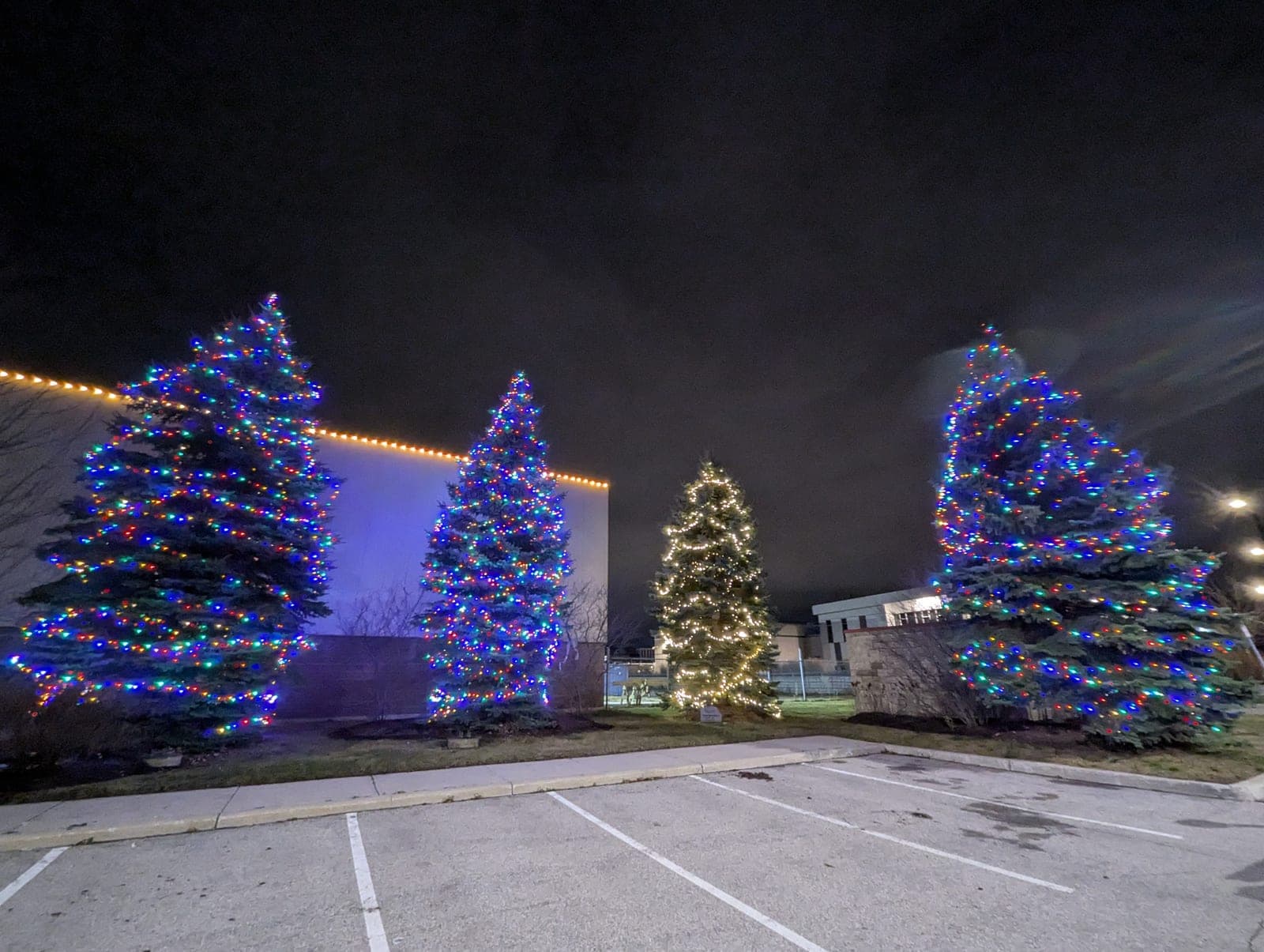 Row of large evergreens in bright multicolour Christmas lights with a warm-white centrepiece tree at a commercial property