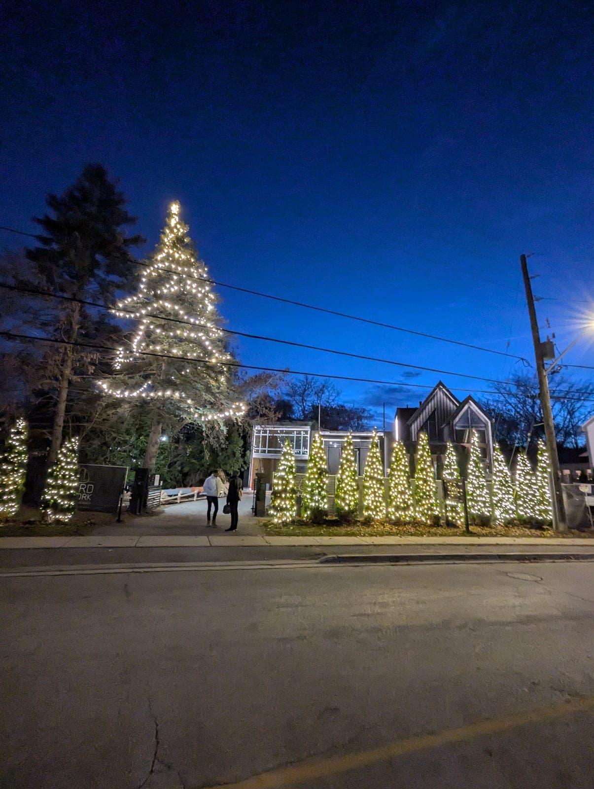 Rows of warm-white lit Christmas trees decorating a commercial property at dusk.