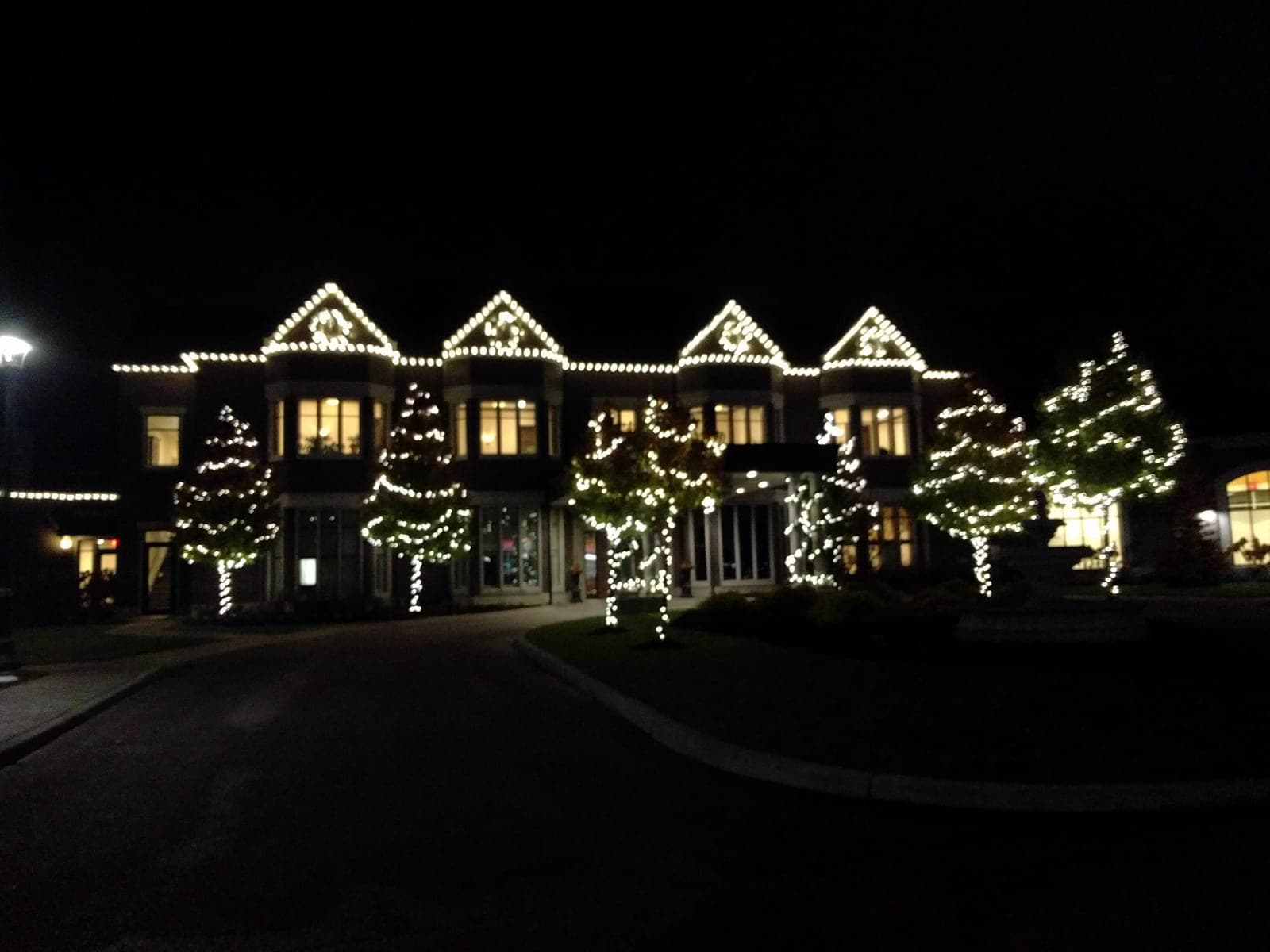 Warm-white Christmas roofline lights outlining a large estate mansion with lit trees.