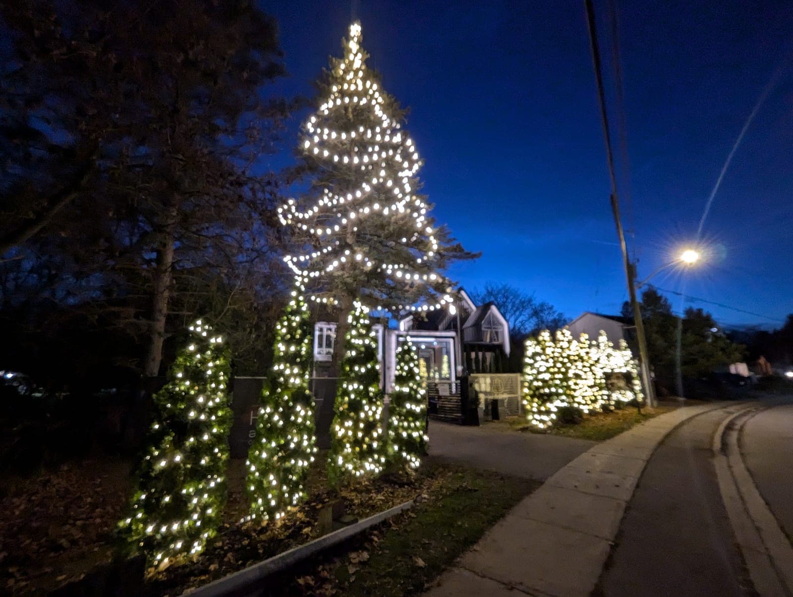 Illuminated evergreen and warm-white cone trees beside a glowing street lamp at dusk
