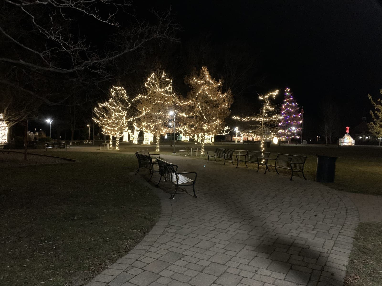 Town square park with trees in warm-white Christmas lights and a lit Christmas tree at night