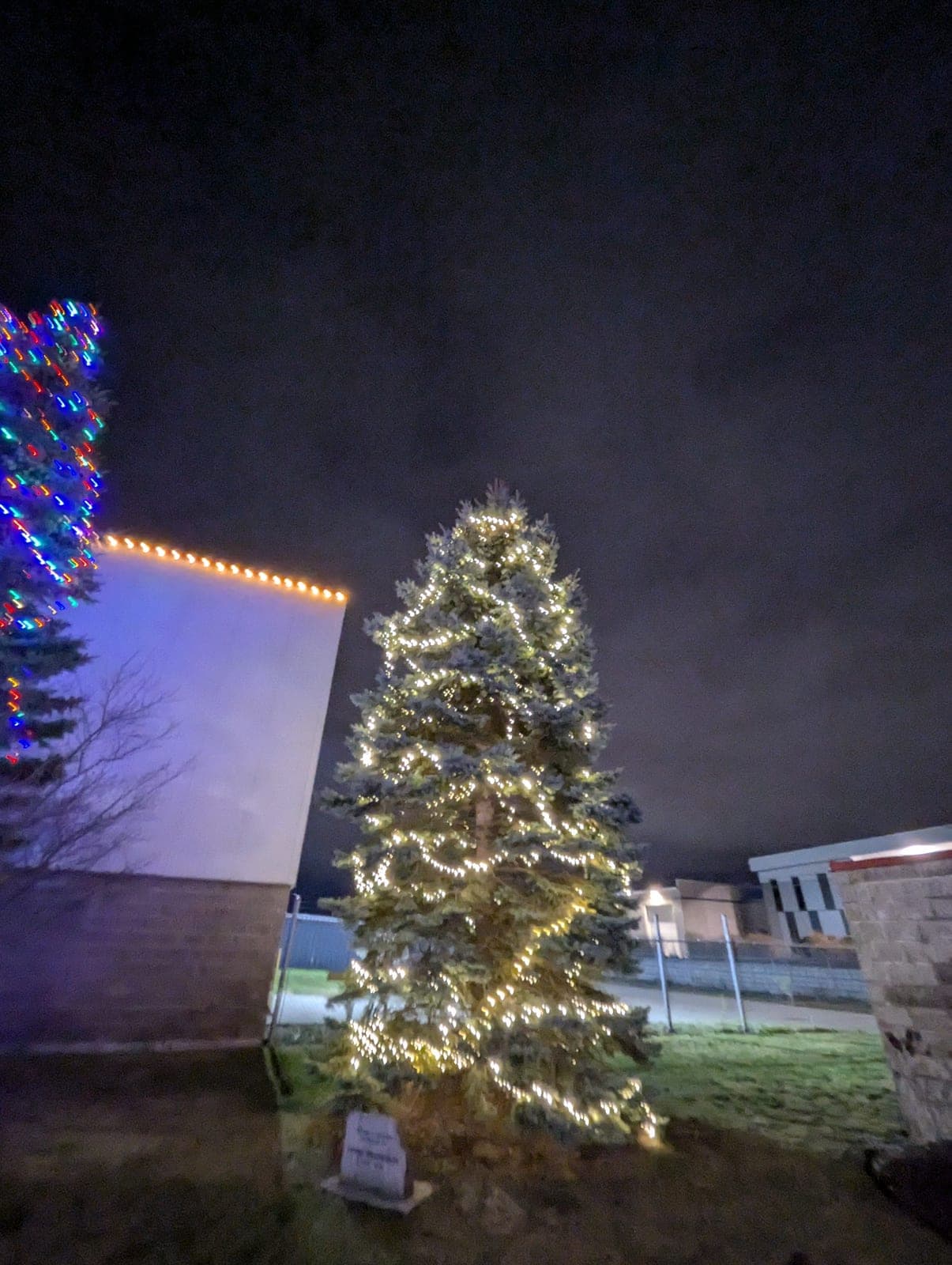 Warm-white lit evergreen tree beside a commercial building with a lit roofline at night