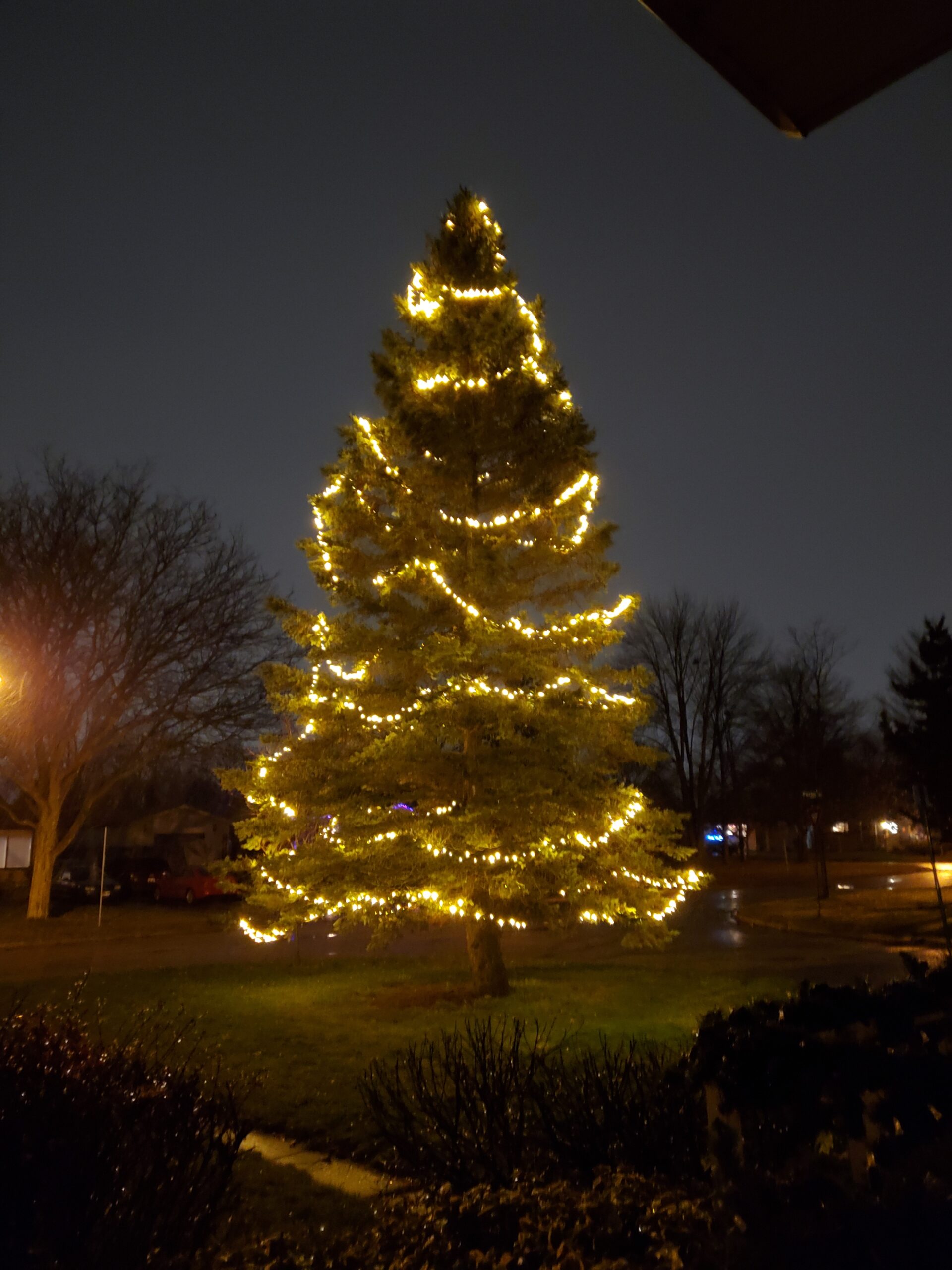 Oakville Christmas Light Installer Holiday Lighting Services