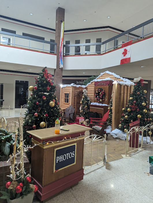 Oakville Christmas Light Installation